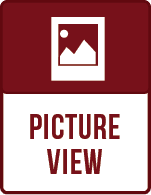 Picture View